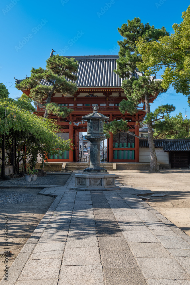 Fototapeta premium 日本、大阪府、葛井寺、寺院、佛寺、佛教、文化財、木造建築、古代建築、日本文化、歷史名勝、青空、木、綠色、旗幡