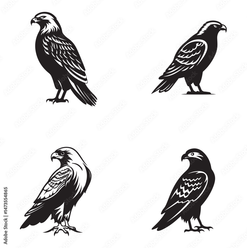 Fototapeta premium Falcon Silhouette Clipart Set