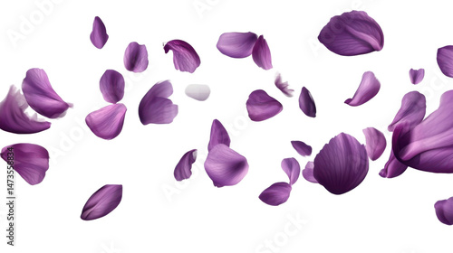 Wallpaper Mural flying purple petals on white background Torontodigital.ca
