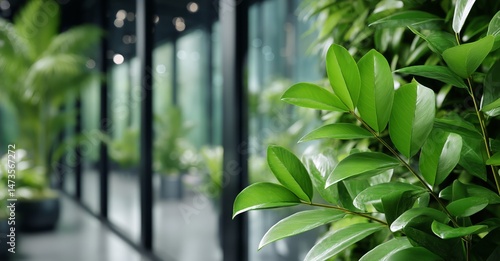 Modern Interior With Lush Greenery and Contemporary Design in a Spacious Offi...