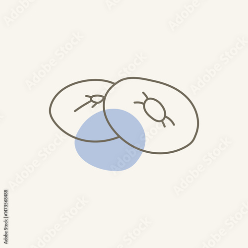 A bagel is a bread roll originating in the Jewish communities of Poland.