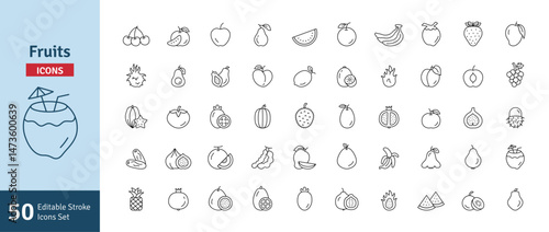 Fruits Icons Set. Healthy Eating, Vegan Food, Weight Loss, Apple, Orange, Banana, Coconut, Mango, Avocado, Guava, Pineapple, Dates Icons Editable Stroke Vector Illustration