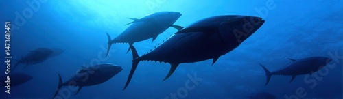 Majestic Bluefin Tuna Swimming Gracefully in Ocean Depths
