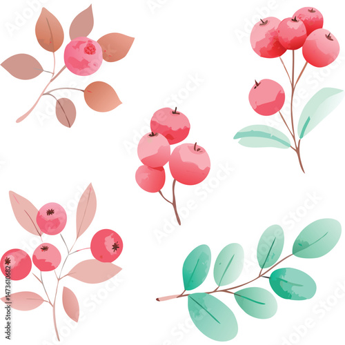Watercolor Berries and Leaves Illustration Collection Transparent Background