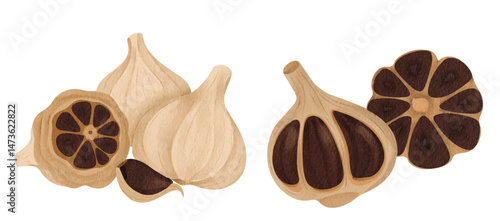 Black Garlic Spice Illustration  for Culinary and Food Design