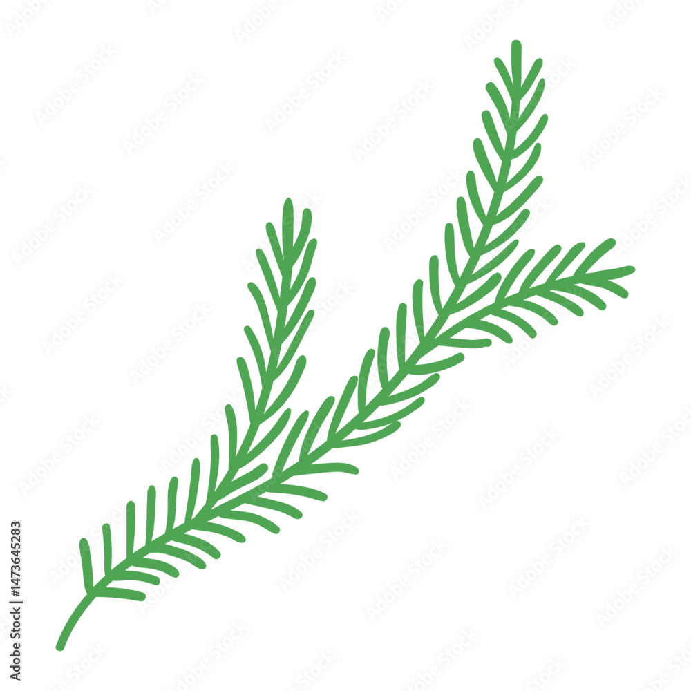 Pine Tree Branch in Hand Drawn Style. Cartoon nature decoration for Christmas frames and wreaths. Nature ornament. Cute fir symbol. Holidays twig Pine Tree Branch in Hand Drawn Style. Cartoon nature decoration for Christmas frames and wreaths. Nature ornament. Cute fir symbol. Holidays twig