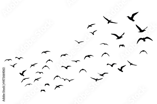 Majestic Bird Silhouettes in Flight Flying Crane Silhouettes Vector

