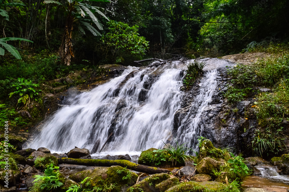 Fototapeta premium Beautiful Small Waterfall in summer Forest in jungle at Doi Saket Distric, Chiang Mai, Thailand