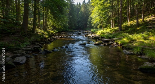 River Flowing Through Forest with Sunlight and Rocks