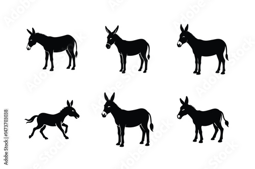 Donkey silhouette Vector bundle  illustration, Set of Donkey silhouette 