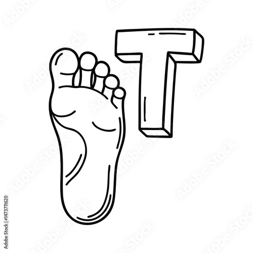 An illustration of letter T stands for Toe