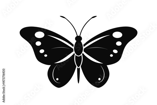butterfly isolated on white background