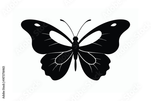 butterfly isolated on white