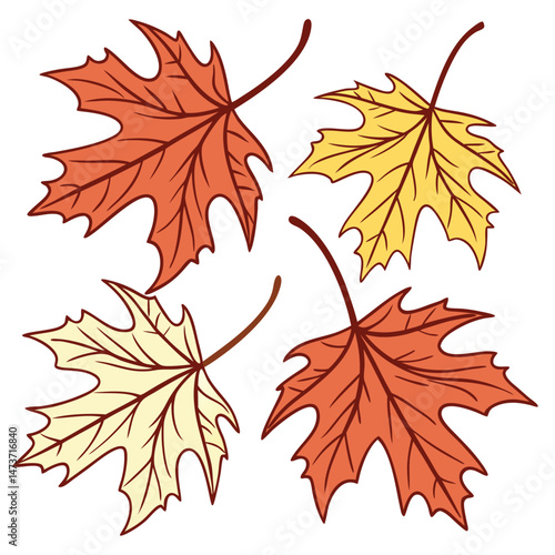 Set autumnal leaves vector image (39).eps