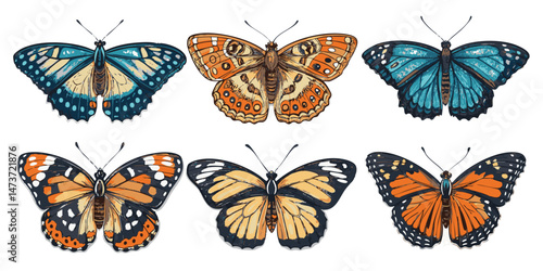 Vector Illustrations of Butterflies Featuring Patterned Wings: Monarch, Swallowtail, Morpho, Admiral, Painted Lady, Skipper