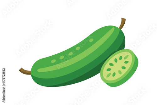 Fresh Green Luffa Acutangula with Slice Isolated Vector Illustration

