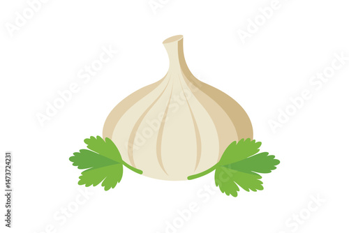 Garlic with Coriandrum Sativum Leaf Isolated Vector Illustration