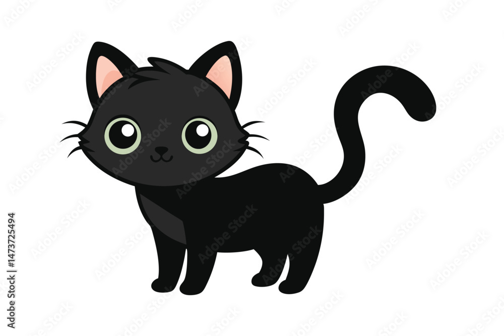 black and white cat black and white cat