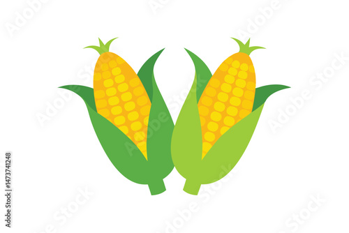 Two Ears of Boiled Sweet Corn Isolated