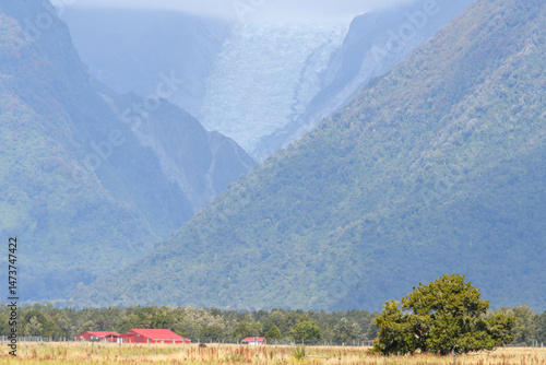Wallpaper Mural View at Fox Glacier on New Zealand Torontodigital.ca