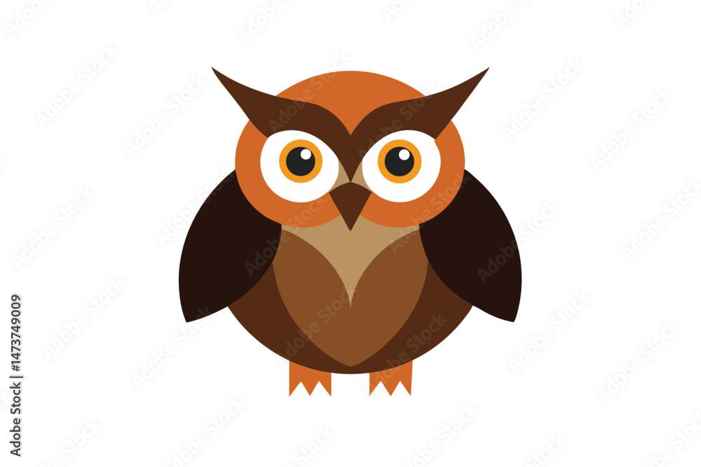Owl Illustration Owl Illustration
