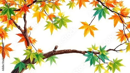 Aquarellillustration von Ahornzweigen mit buntem Herbstlaub in Orange, Gelb und Rot auf weißem Hintergrund.