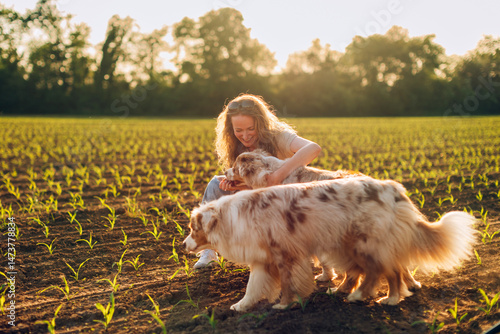 Photography Farmer woman petting australian shepherd dogs in corn field at sunset
