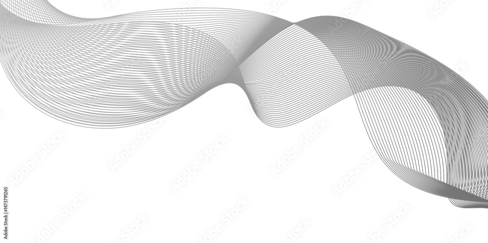 Fototapeta premium Abstract dark grey and white lines of gradient&nbsp;waves on white background and technology curve lines background. Dynamic sound waves. Web, banner,&nbsp;app,&nbsp;wallpaper. Design elements. Vector&nbsp;Illustratio