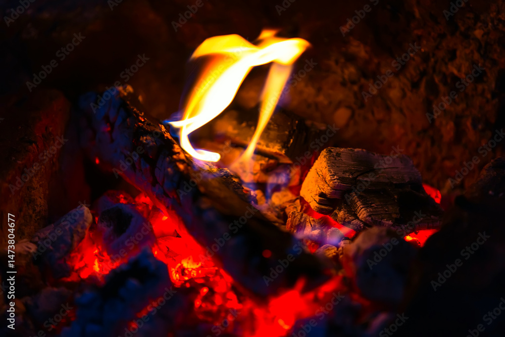Coals and fire of campfire in the forest closeup