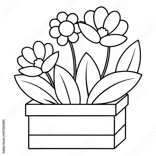 Flowers on Wooden Box Outline for Decorative Botanical Coloring Book Page
