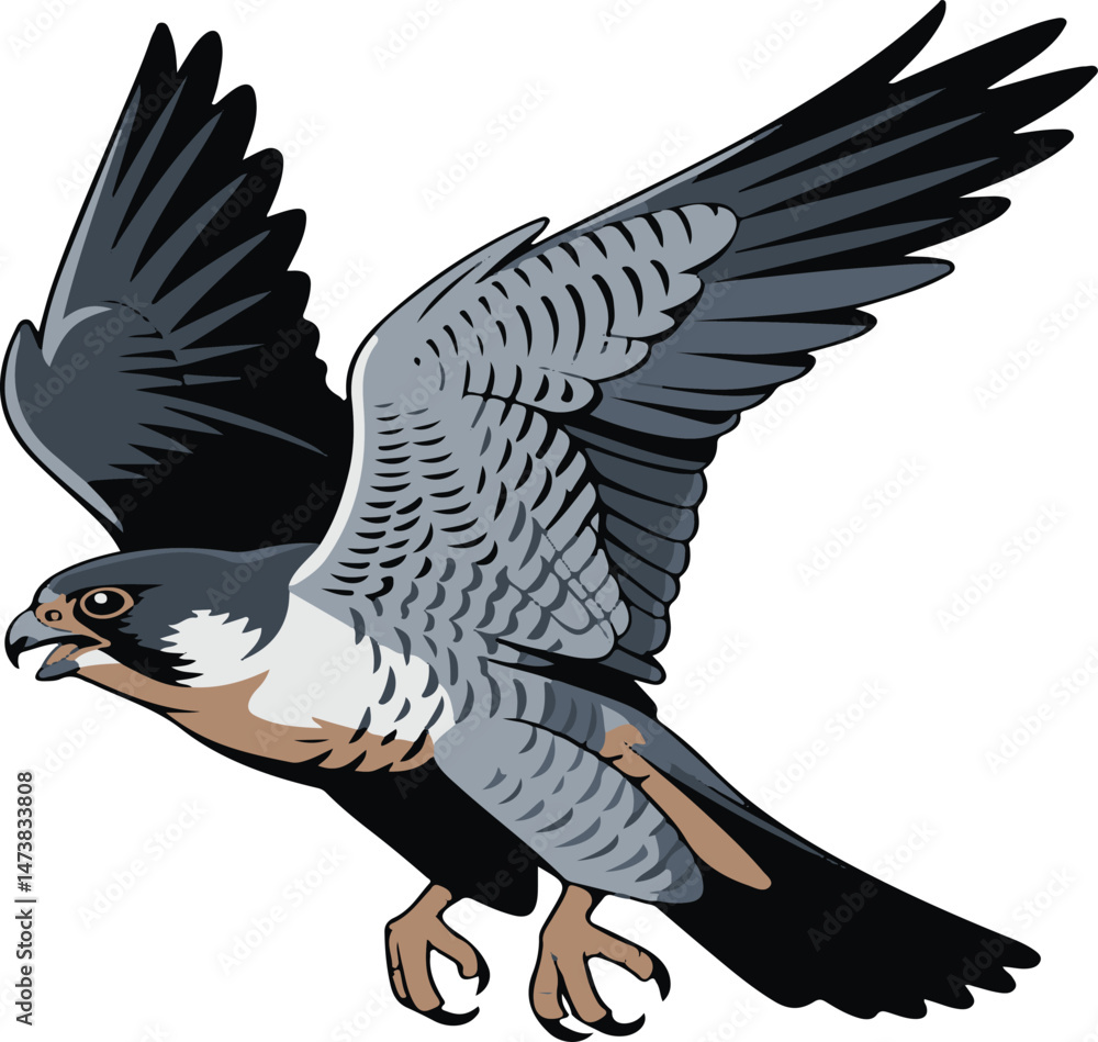 Naklejka premium eagle in flight