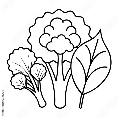 Spinach, Kale, and Broccoli Outline Illustration for Healthy Vegetables Coloring Book Pages