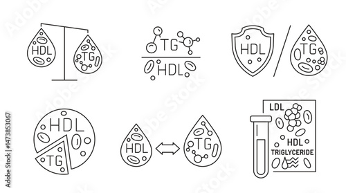Lipid profile TH to HDL icon, pictogram.