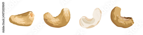 Four detailed cashew nuts shown in different angles and shades, ideal for food packaging, nutrition content, or healthy snack branding