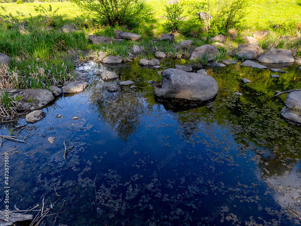 Fototapeta premium A small stream running through a grassy field with rocks in it
