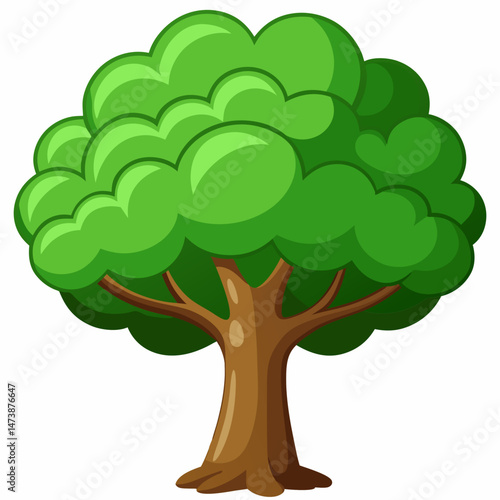 Lush vector of a forest beech tree with wide canopy clean white background