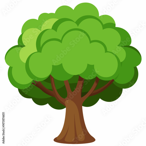 Lush vector of a forest beech tree with wide canopy clean white background