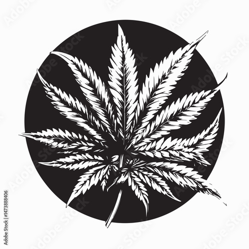 Organic cannabis illustration vector isolated on white background.