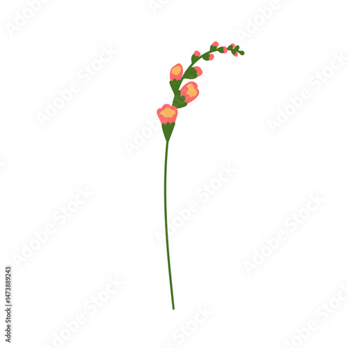 Flower blossom. Garden floral blooming branch. Snapdragon plant with tall gen...