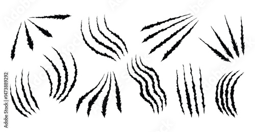 Bear or tiger claw marks. Scratches and torn traces of vector animal paw slashes. Hole in sheet of paper with torn edges. Vector illustration
