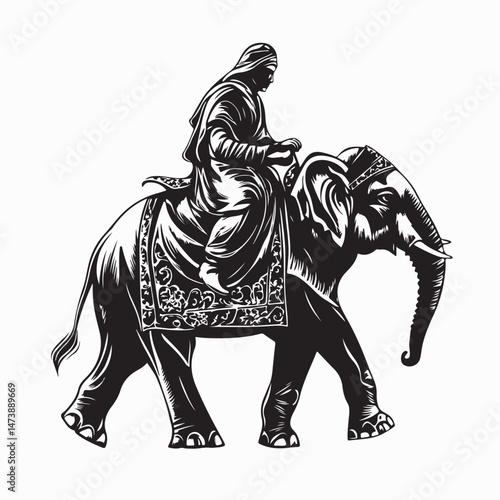 Indian Man Riding Elephant Vector Illustration isolated on white background