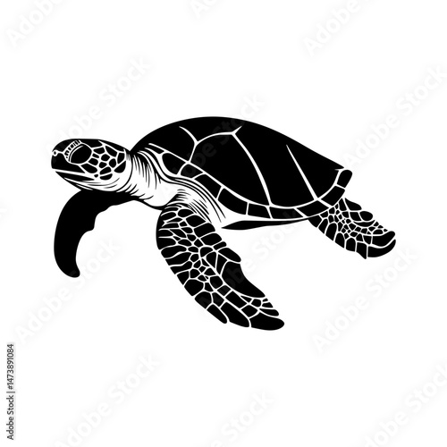 Sea Turtle Silhouette: Elegant black and white silhouette of a sea turtle swimming gracefully. Perfect for marine life themes, ocean conservation projects, and nautical designs.