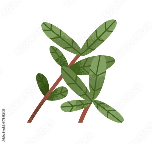 Leaf plant branch. Green leaves, tropical foliage. Exotic fresh leafy decorat...