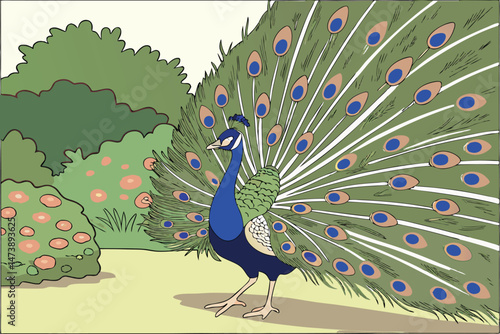 104 a detailed painting of a majestic peacock with vibrant plumage, showing its magnificent tail feathers in full display, hyper-realistic, 8k, highly detailed, extremely sharp focus, award-winning, d