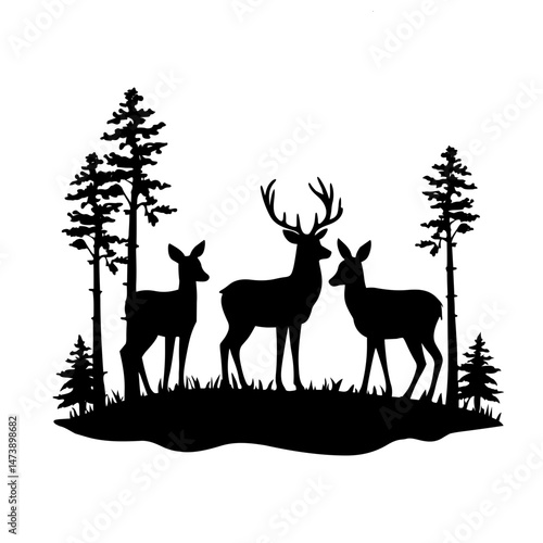 deer in the forest