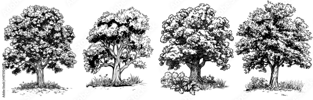 Fototapeta premium A contemporary drawing of a tree cartoon set against a white backdrop