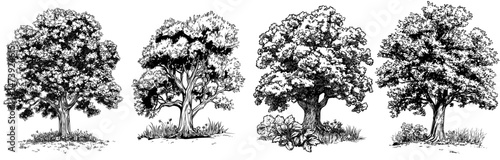 A contemporary drawing of a tree cartoon set against a white backdrop