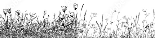 Photos Grass and flowers in a spring garden form a border, with a modern cartoon flower