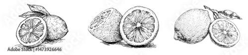 A hand-drawn illustration of a lemon is presented in a sketch style, showcasing the exotic citrus fruit in various forms, including a half and a slice, reminiscent of limes or oranges, symbolizing