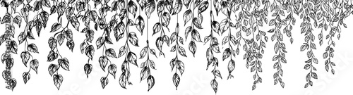 Tropical rainforest and Amazon jungle settings feature hanging trees with climbing leaves and rope-like roots that form ornate frames